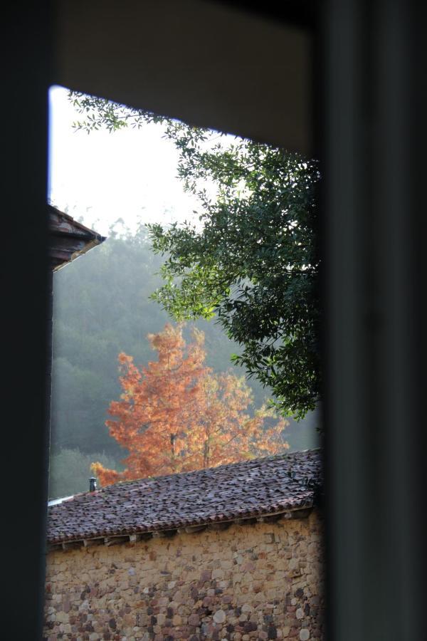 Casa Anida En Hualle Valdaliga Dış mekan fotoğraf